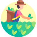 Ecom IT Hub Logistics Software Development